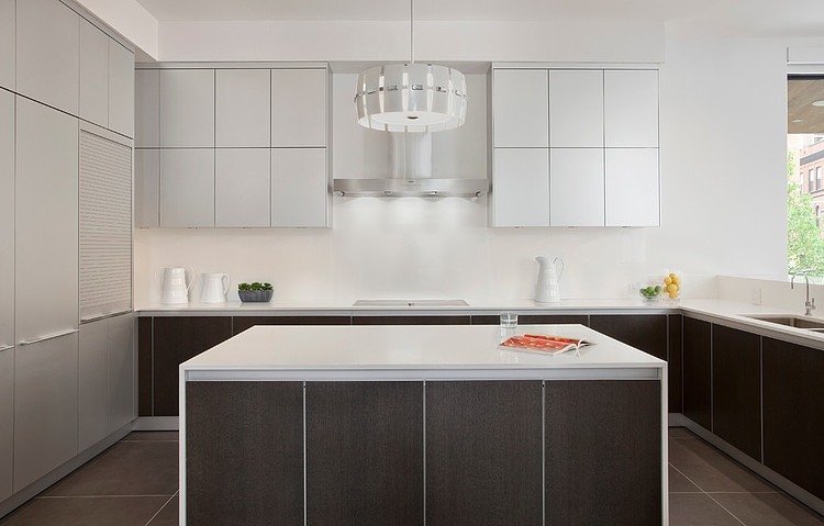 Lincoln Park Residence by Joseph Trojanowski