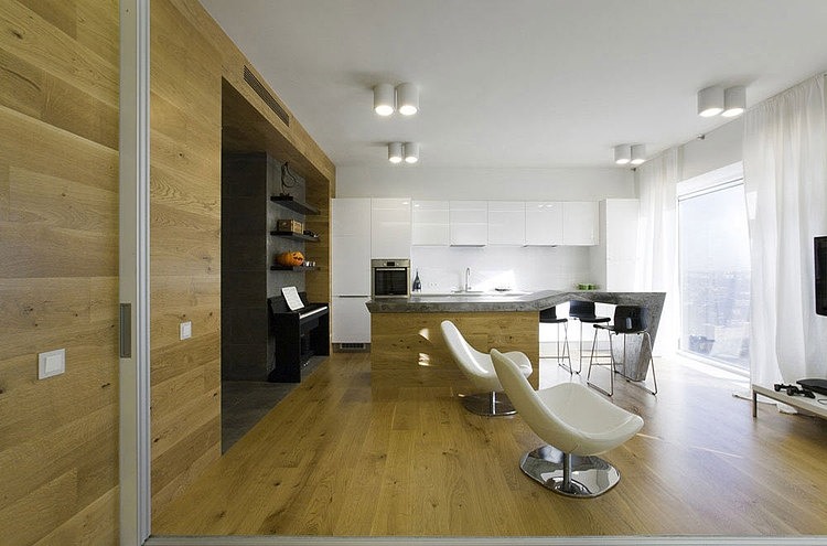 Dubrovka Apartment by Za Bor Architects