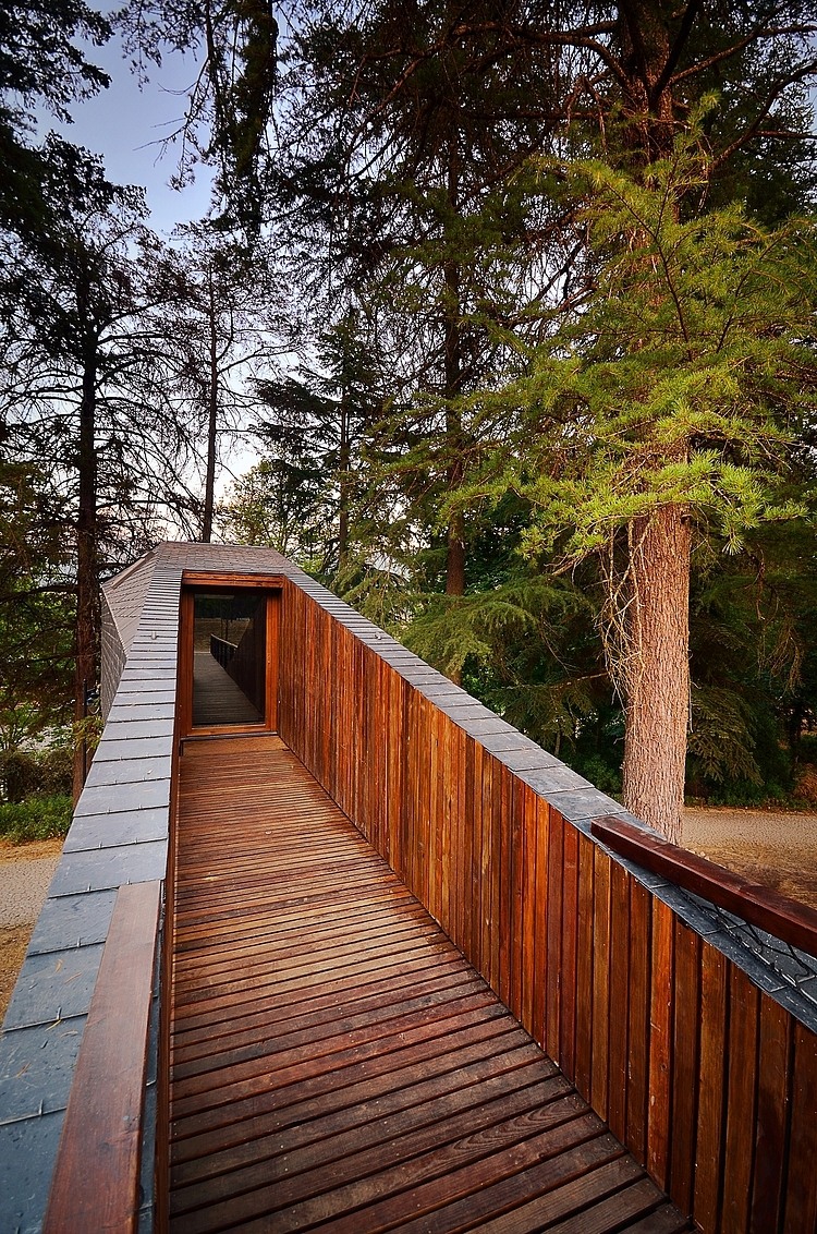 Tree Snakes House by Luis Rebelo de Andrade