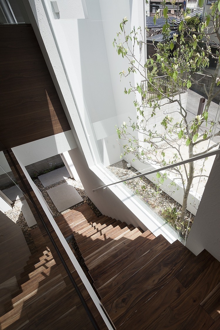 Frame House by Uid Architects & Associates