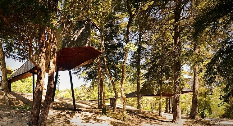 Tree Snakes House by Luis Rebelo de Andrade
