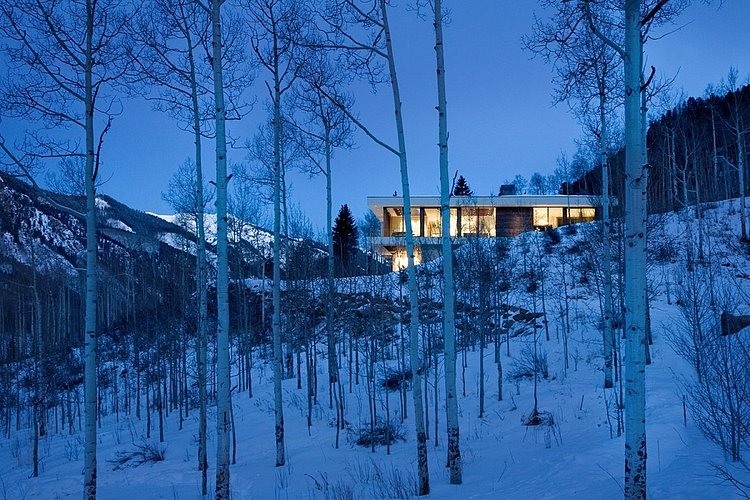 Linear House by Studio B Architects