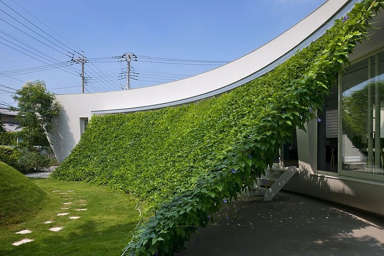 Green Screen House by Hideo Kumaki