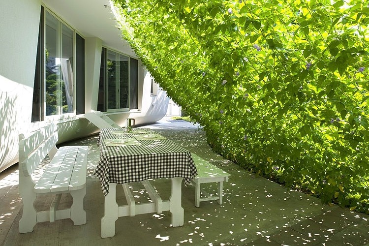 Green Screen House by Hideo Kumaki