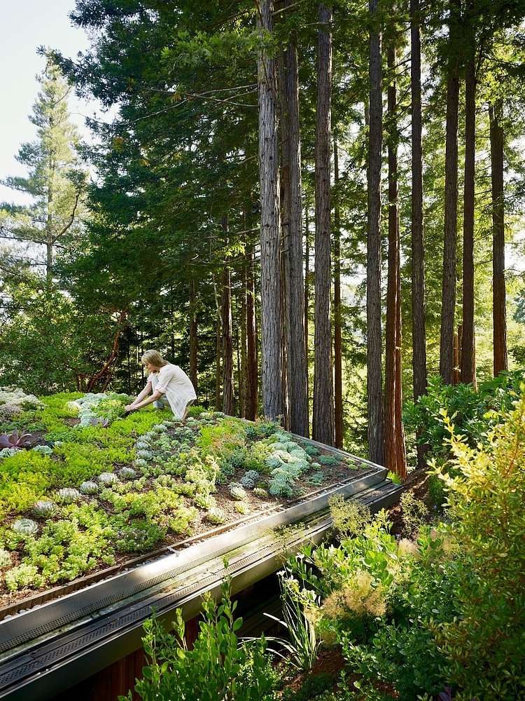 The Shack by Feldman Architecture