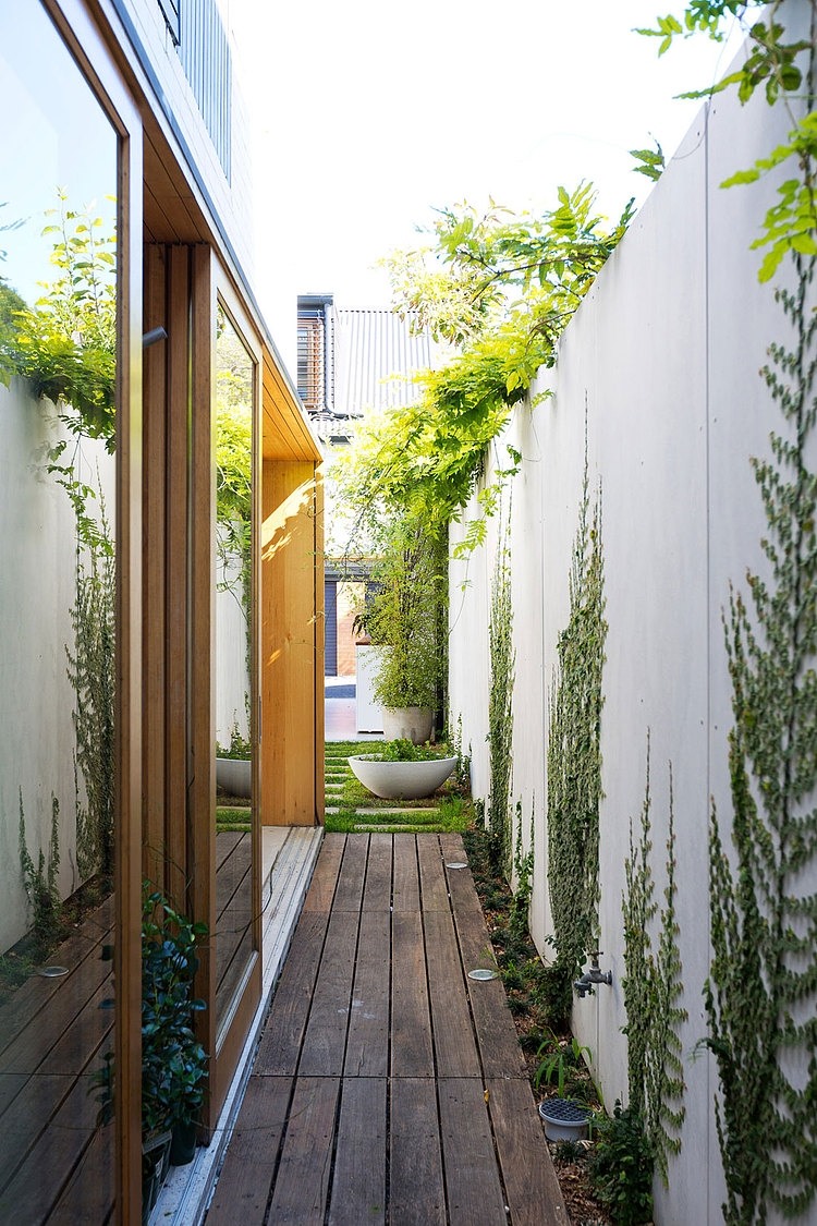 Bondi House by Fearns Studio