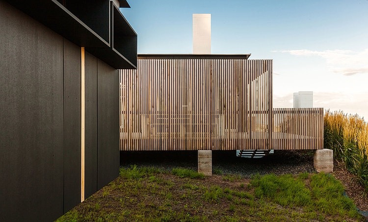 Hall House by Salmela Architect