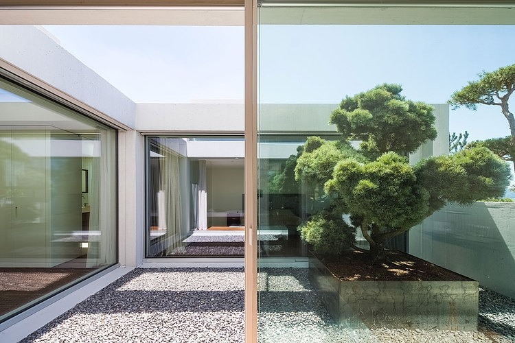 4 Courtyard Houses by Think Architecture