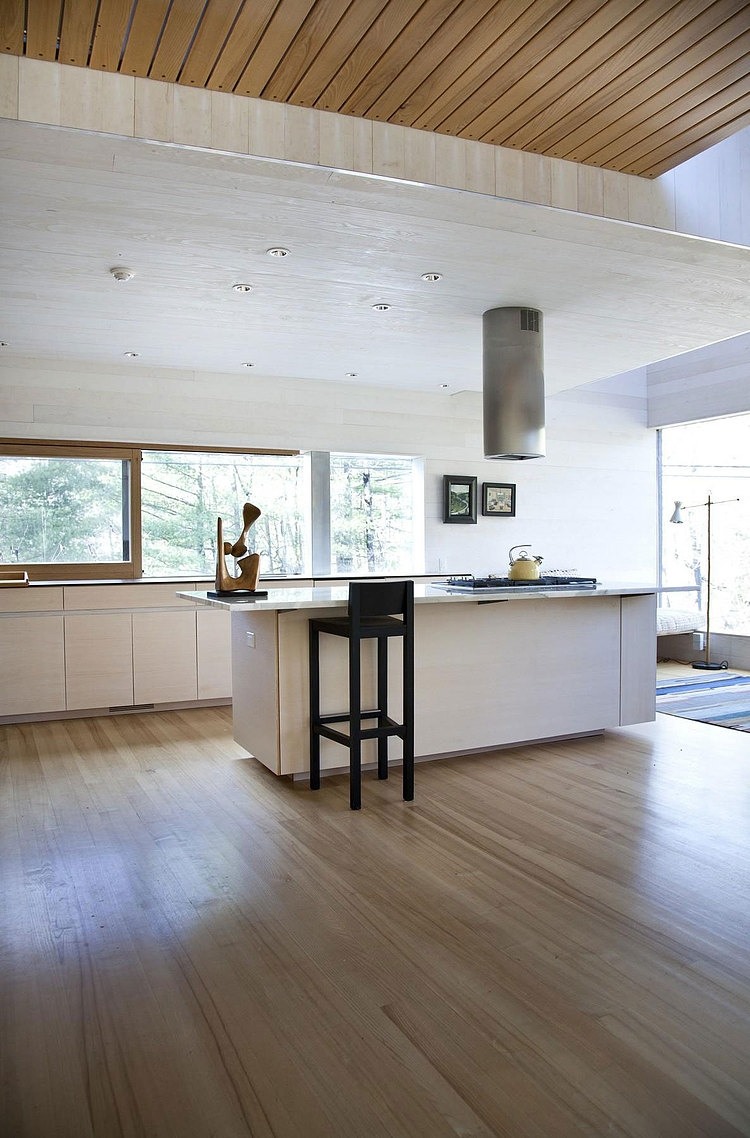 Depot House by Gray Organschi Architecture