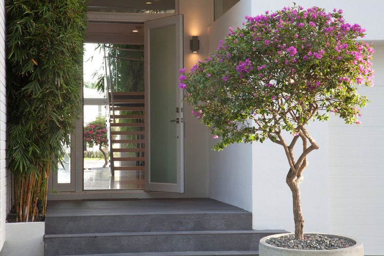 96 Golden Beach by SDH Studio