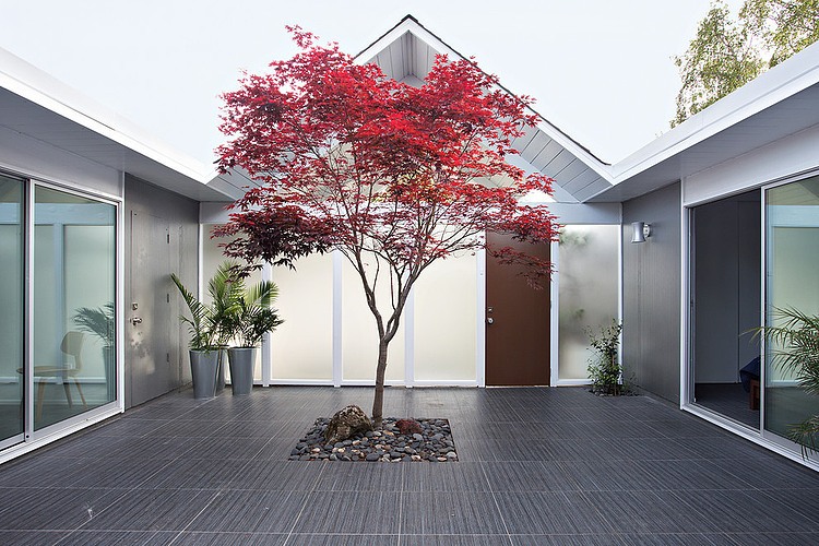 Double Eichler Remodel by Klopf Architecture