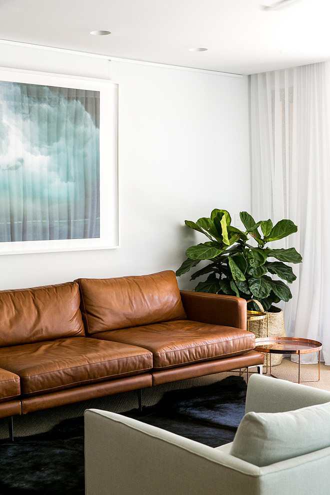 Manly Penthouse by C+M Studio