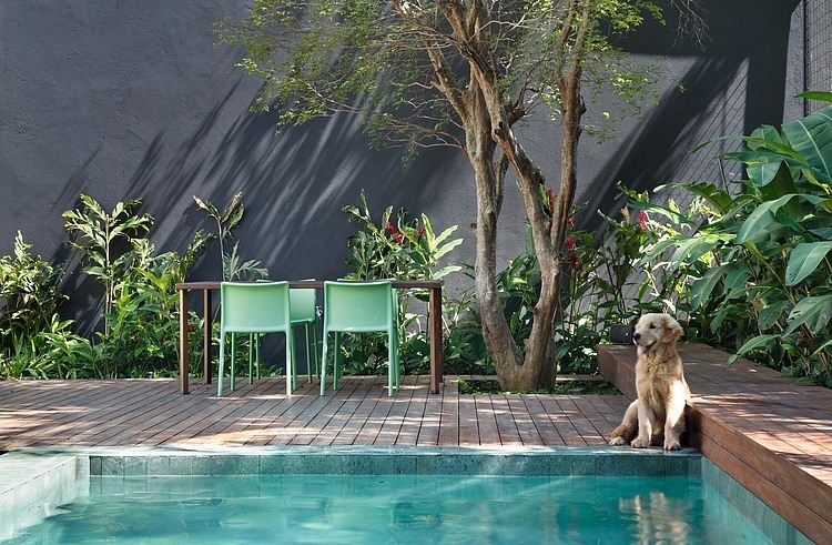 DM House by Studio Guilherme Torres