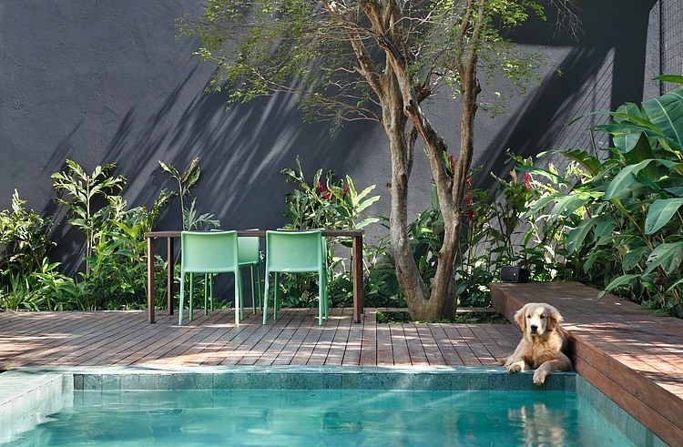 DM House by Studio Guilherme Torres
