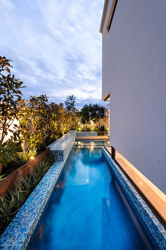 Medallion by Webb & Brown-Neaves