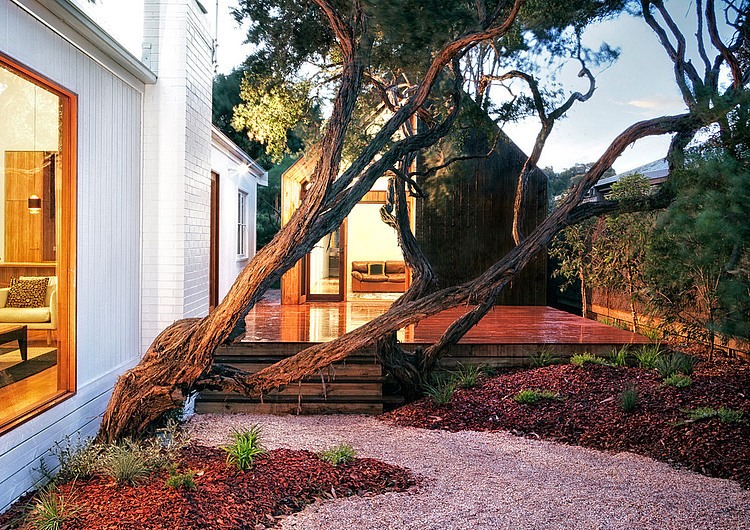 Beach House by Auhaus Architecture