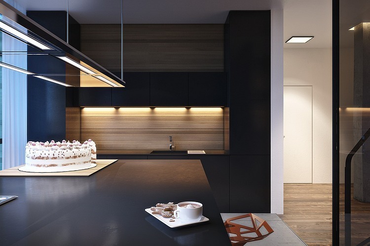 S House by Igor Sirotov Architect
