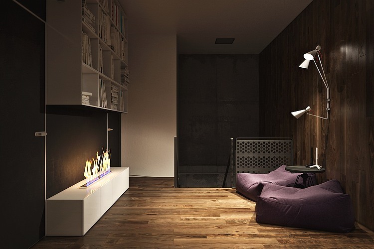 S House by Igor Sirotov Architect