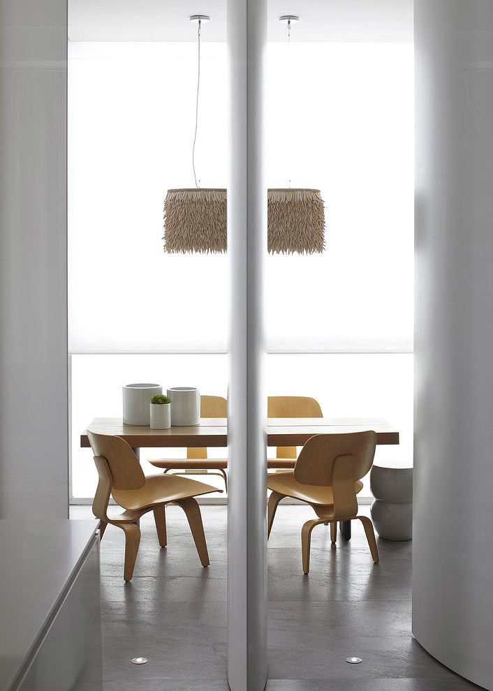 Apartment in France by Bismut & Bismut Architectes