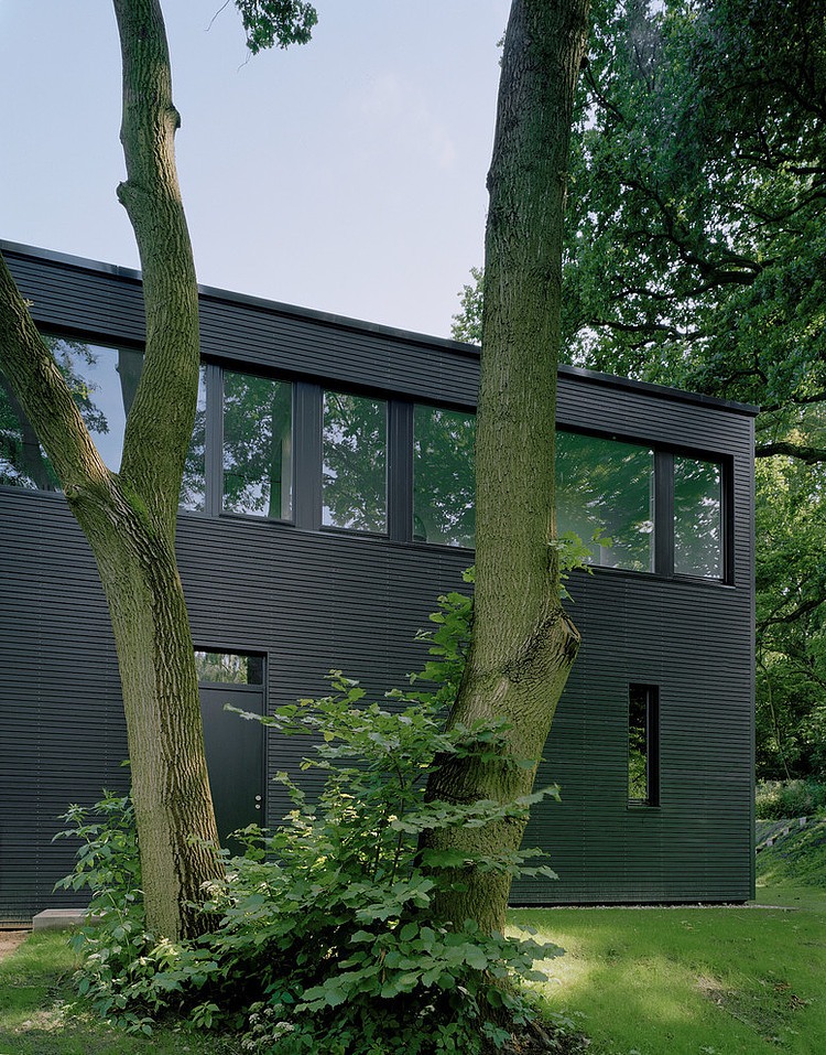 Lindeneck House by C95-Architekten