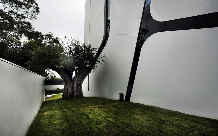 Weave House by A-cero