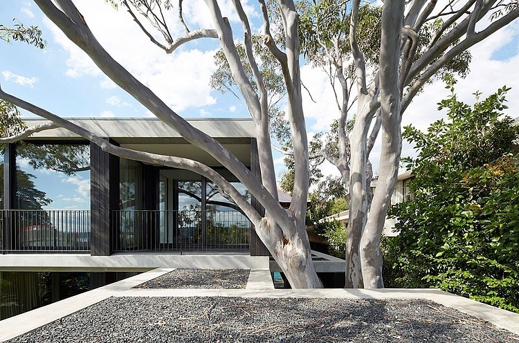Vaucluse Home by B.E Architecture