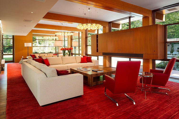 Chalon Residence by Dynerman Architects