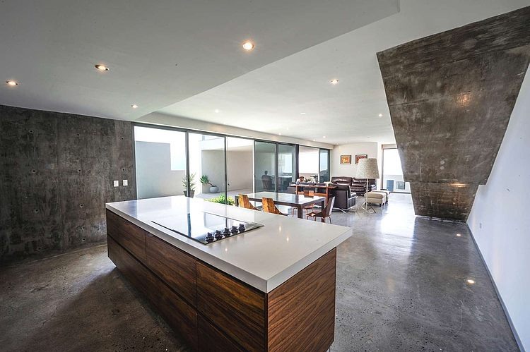 Casa IPE by P+0 Architecture