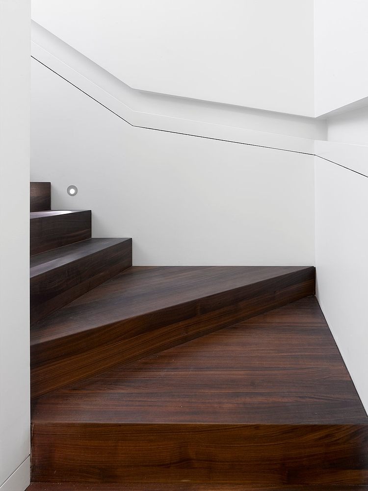 Moore Park Residence by Drew Mandel Architects