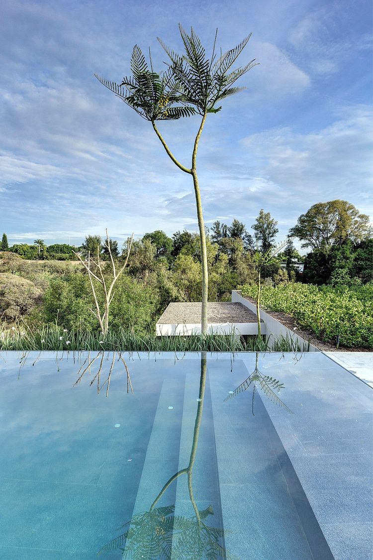Casa LA by Elías Rizo Arquitectos