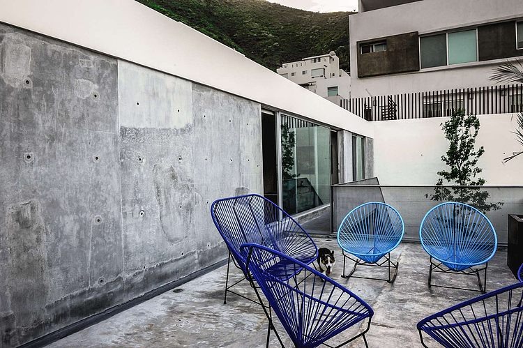 Casa IPE by P+0 Architecture