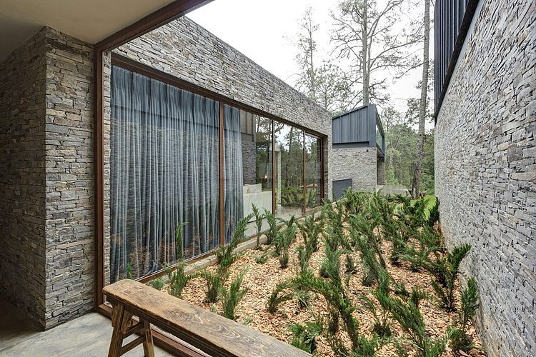 Casa MM by Elías Rizo Arquitectos