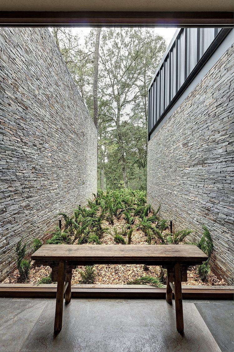 Casa MM by Elías Rizo Arquitectos