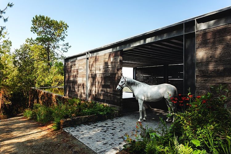 El Mirador by CC Arquitectos