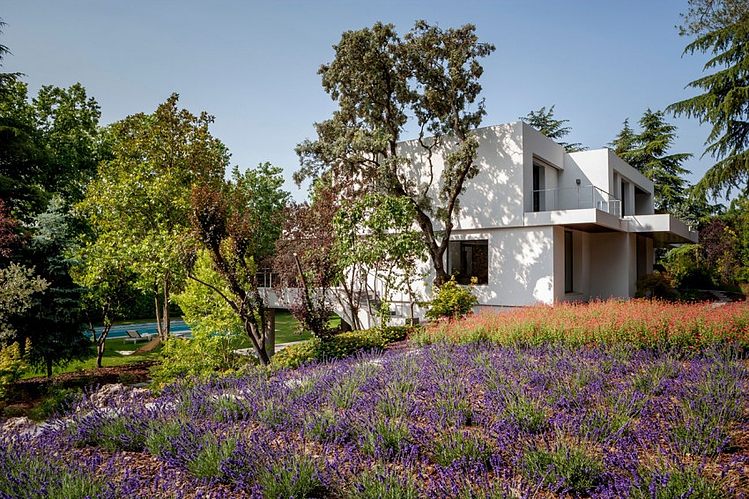 La Moraleja by ÁBATON Arquitectura