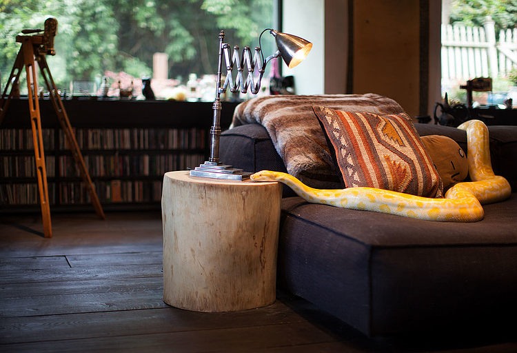 Marin Residence by Dawson & Clinton
