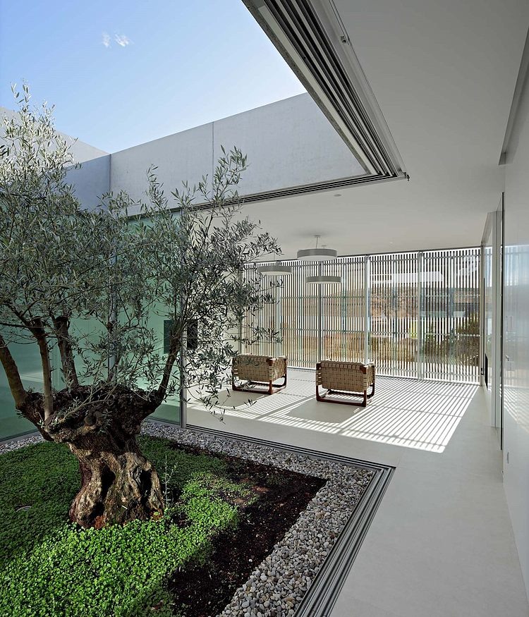 Olive House by LOG-URBIS
