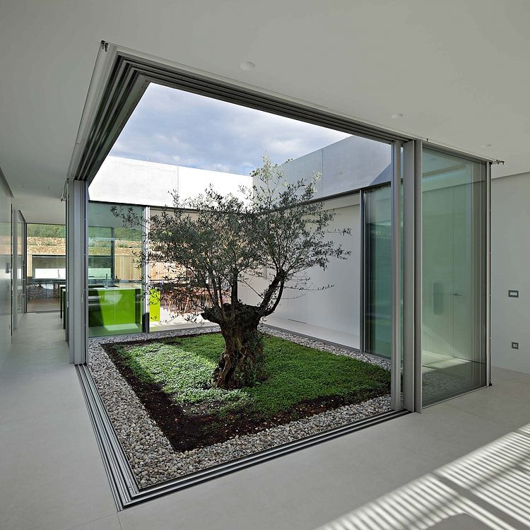 Olive House by LOG-URBIS