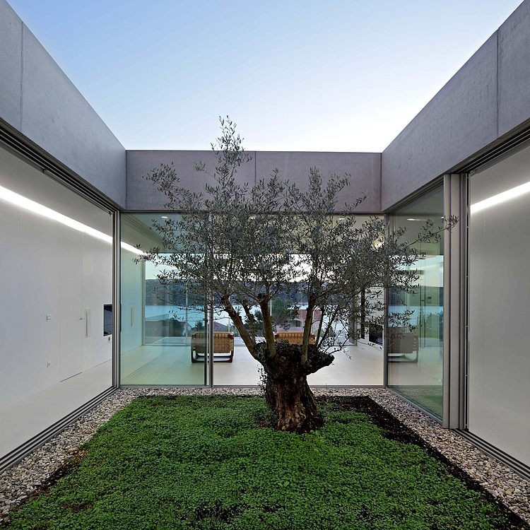 Olive House by LOG-URBIS