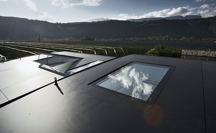 Mirror Houses by Peter Pichler Architecture