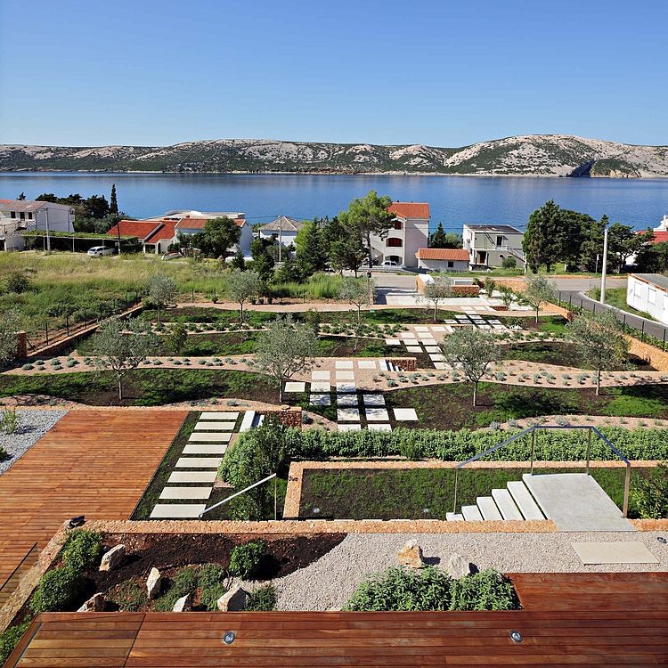 Olive House by LOG-URBIS