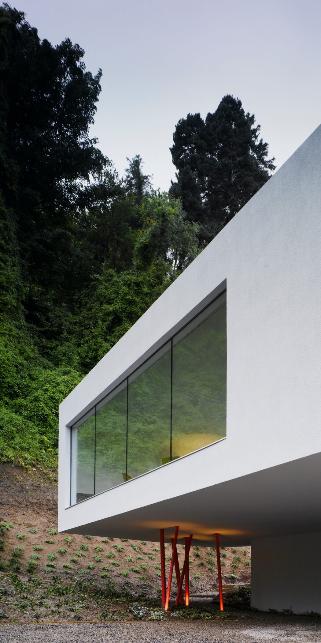 Dwelling at Maytree by ODOS Architects - 2