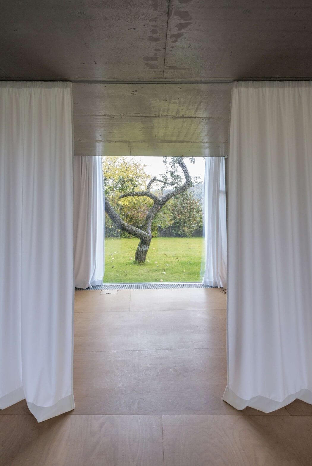 Chameleon House by Petr Hajek Architekti - 5