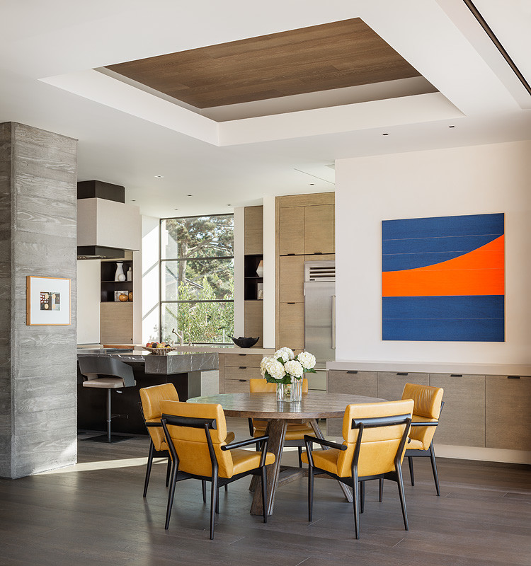 La Jolla Gallery House by Hayer Architecture - 9