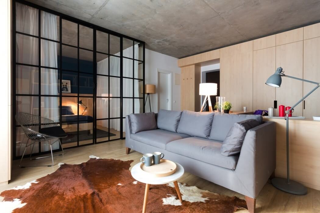 Apartment by Bogdan Ciocodeica & Diana Rosu - 2