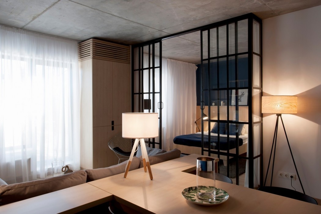 Apartment by Bogdan Ciocodeica & Diana Rosu - 3