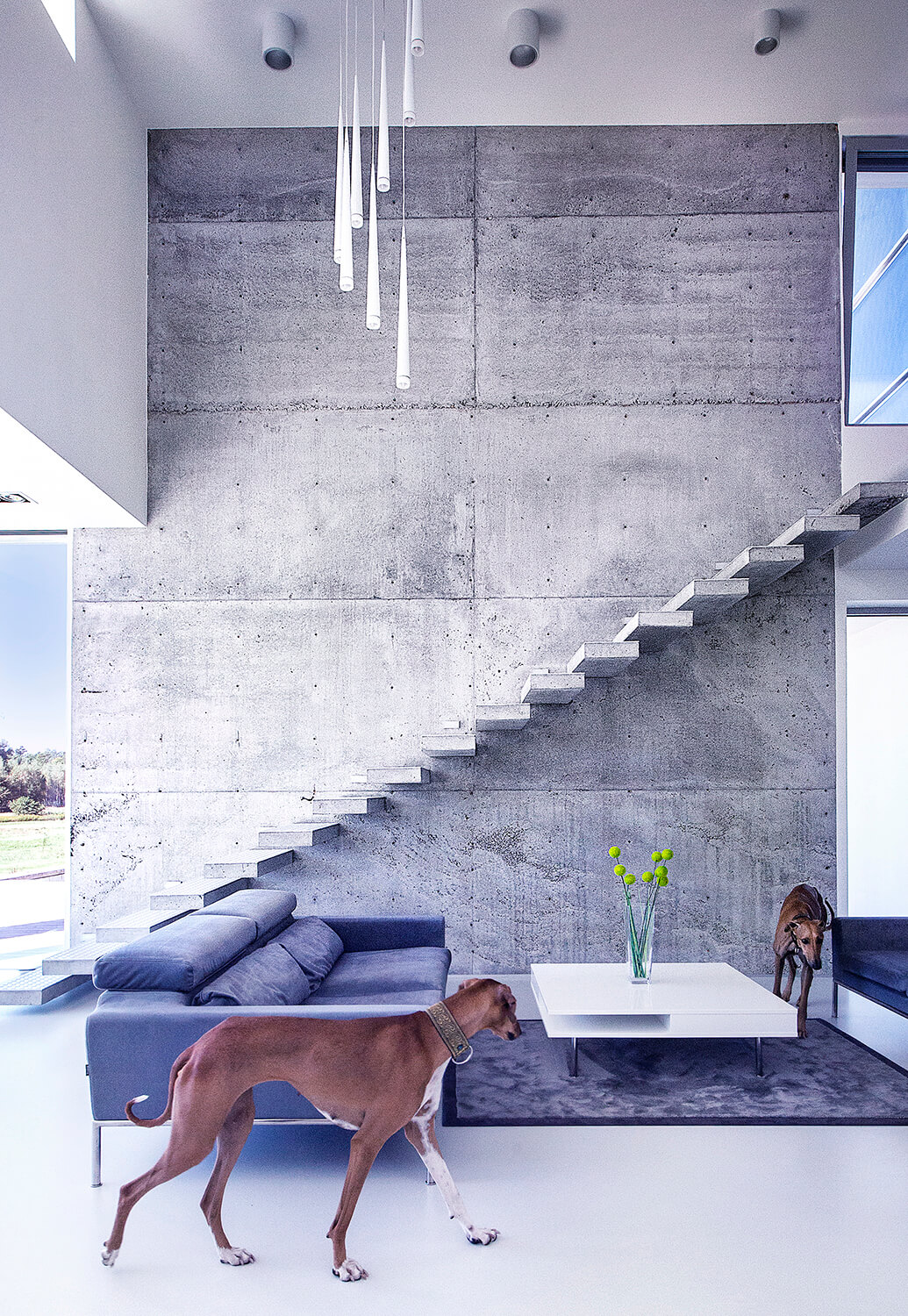Eco House by BXBstudio - 2