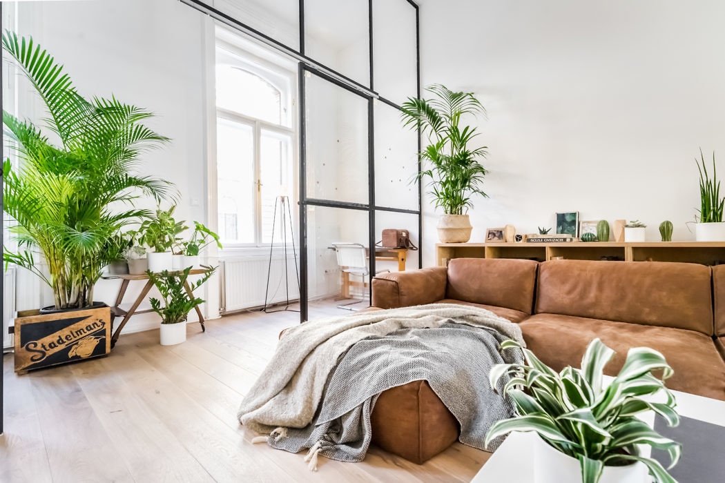 Private Apartment by Snezana Gikovski - 2
