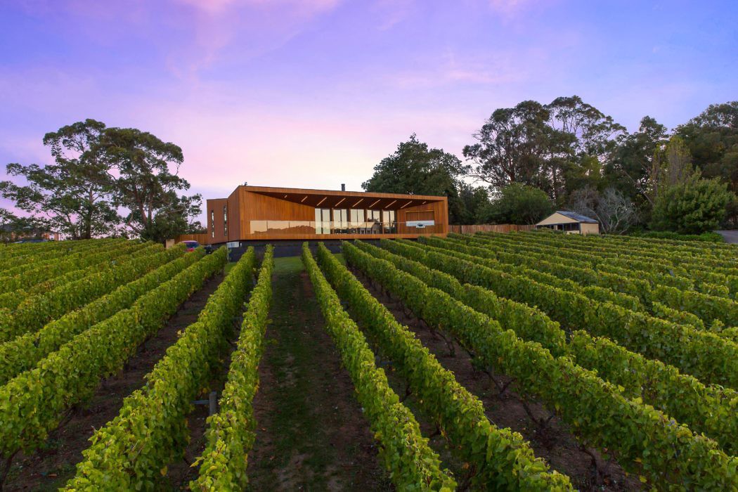 Red Hill Residence by Finnis Architects - 10