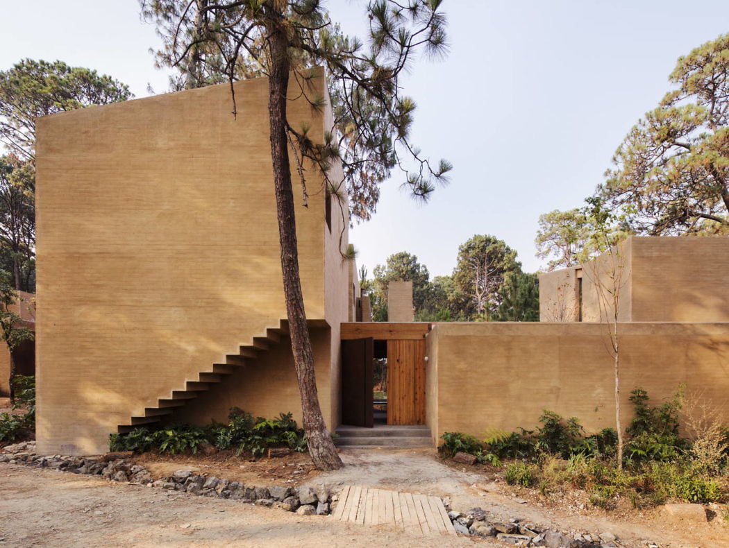 Entre Pinos by Taller Hector Barroso - 7
